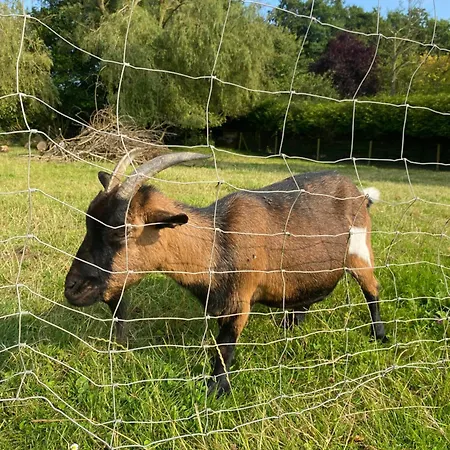 Maison De Campagne * Beuzeville-la-Guerard