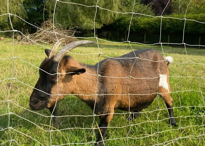 Maison De Campagne * Beuzeville-la-Guerard